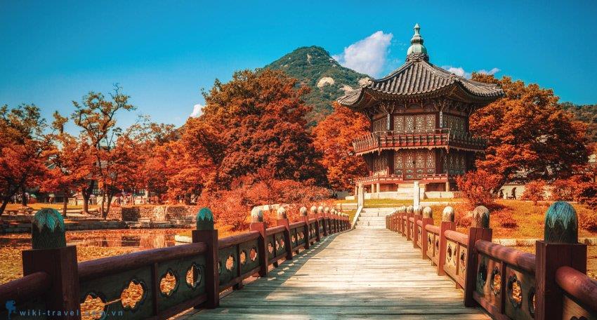 Tour Hàn Quốc mùa thu lá đỏ 5 ngày 4 đêm
